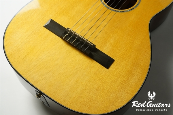 00-Nylon w/FISHMAN Matrix VT Enhance